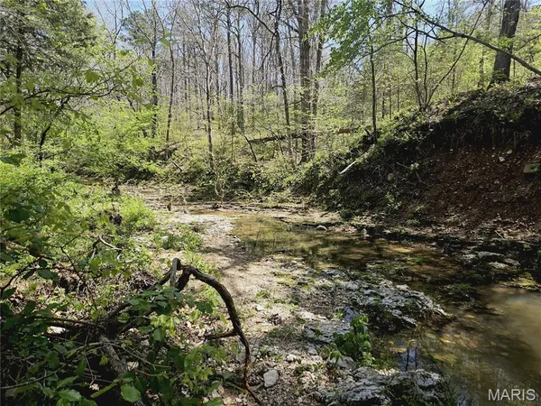 $1,895,000 | 205 County Road 6550, Salem, MO 65560