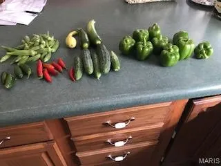 $1,895,000 | 205 County Road 6550, Salem, MO 65560