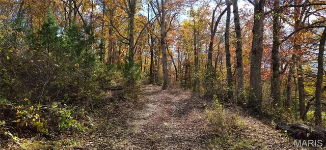 $1,895,000 | 205 County Road 6550, Salem, MO 65560