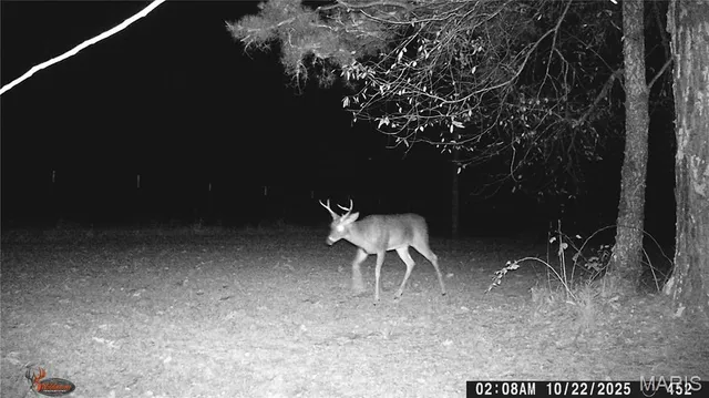 $1,895,000 | 205 County Road 6550, Salem, MO 65560