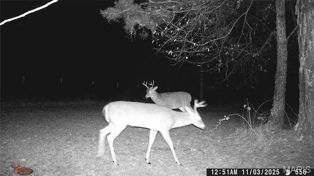 $1,895,000 | 205 County Road 6550, Salem, MO 65560