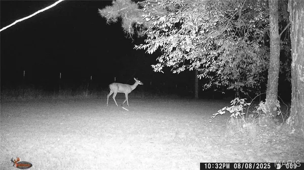 $1,895,000 | 205 County Road 6550, Salem, MO 65560