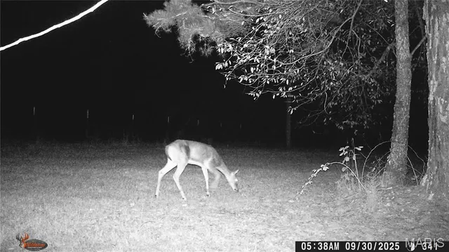 $1,895,000 | 205 County Road 6550, Salem, MO 65560