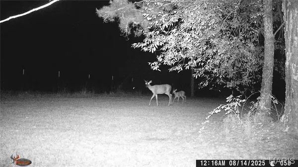 $1,895,000 | 205 County Road 6550, Salem, MO 65560