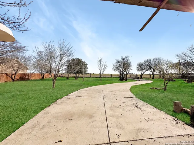 a view of a park with large trees