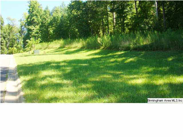 Stagg Run Circle, Unit 19 Pelham, AL 35124 - Photo 8 of 17