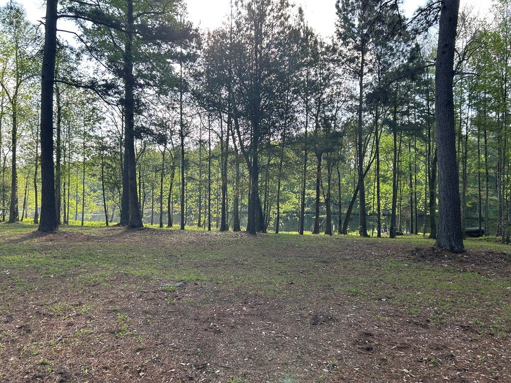 1532 Bold Springs Road Ochlocknee, GA 31773 - Photo 18 of 23 Gallery Image 18