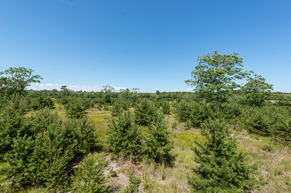 Gallery Image 6