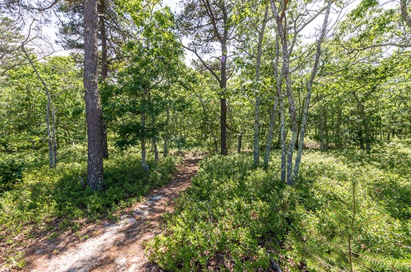 46 Paddock Road Tyngsboro, MA 01879 - Photo 10 of 10 Gallery Image 10