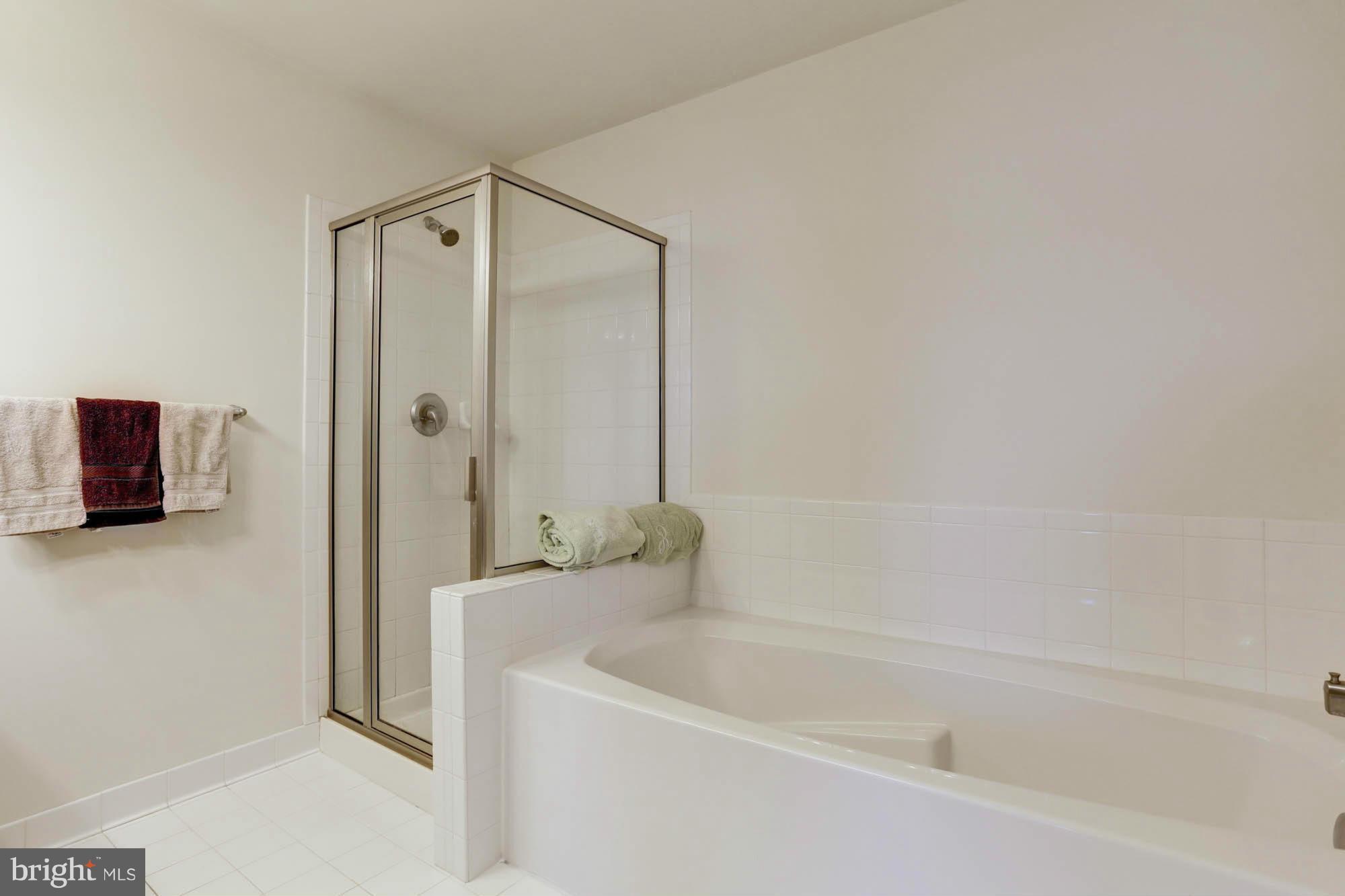 2518 Mill Race Road Frederick, MD 21701 - Photo 20 of 30 Bath (Master)