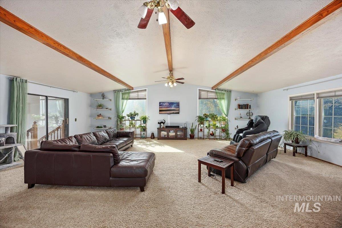 173 Main Line Ranch Road Rupert, ID 83350 - Photo 6 of 47 Living room with carpet floors, plenty of natural light, a textured ceiling, and a ceiling fan