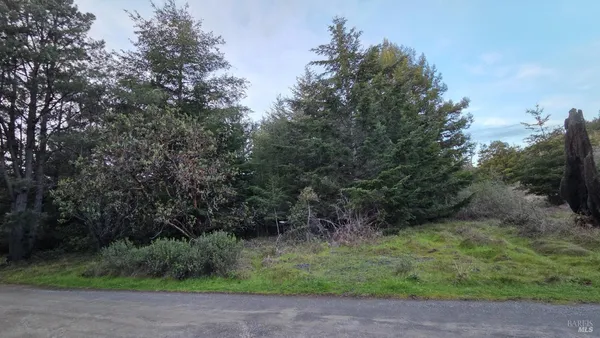 a big yard with lots of green space