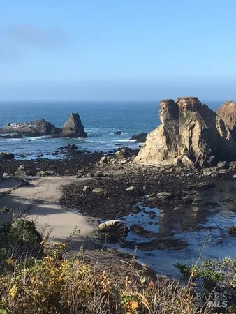 a view of a dry yard