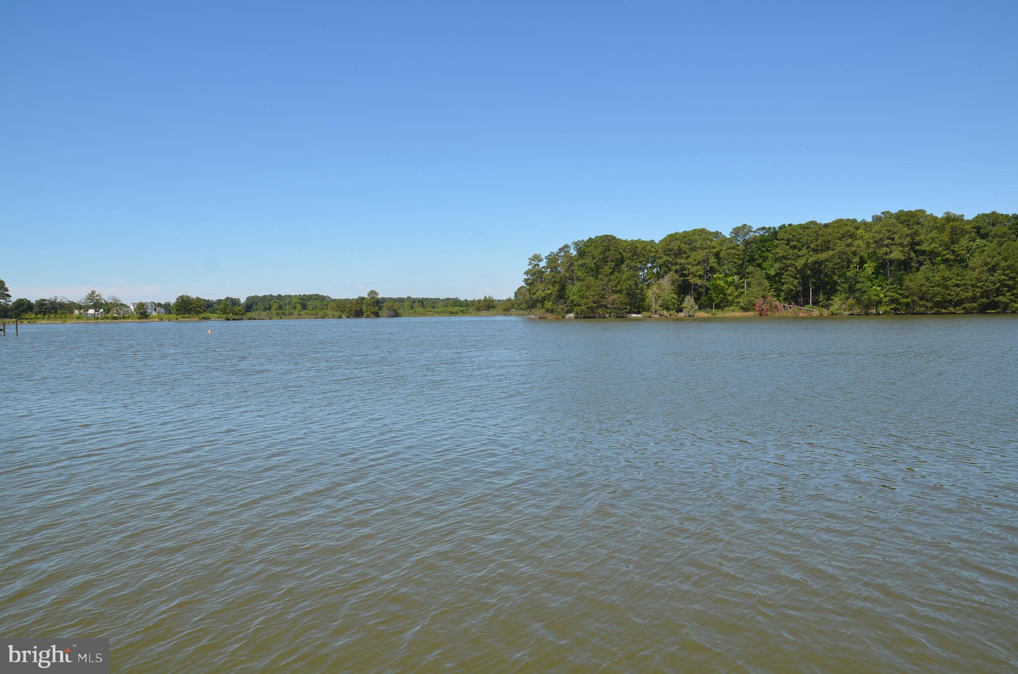 9020 Bozman Neavitt Road St. Michaels, MD 21663 - Photo 31 of 32 View looking across Harris Creek (West)