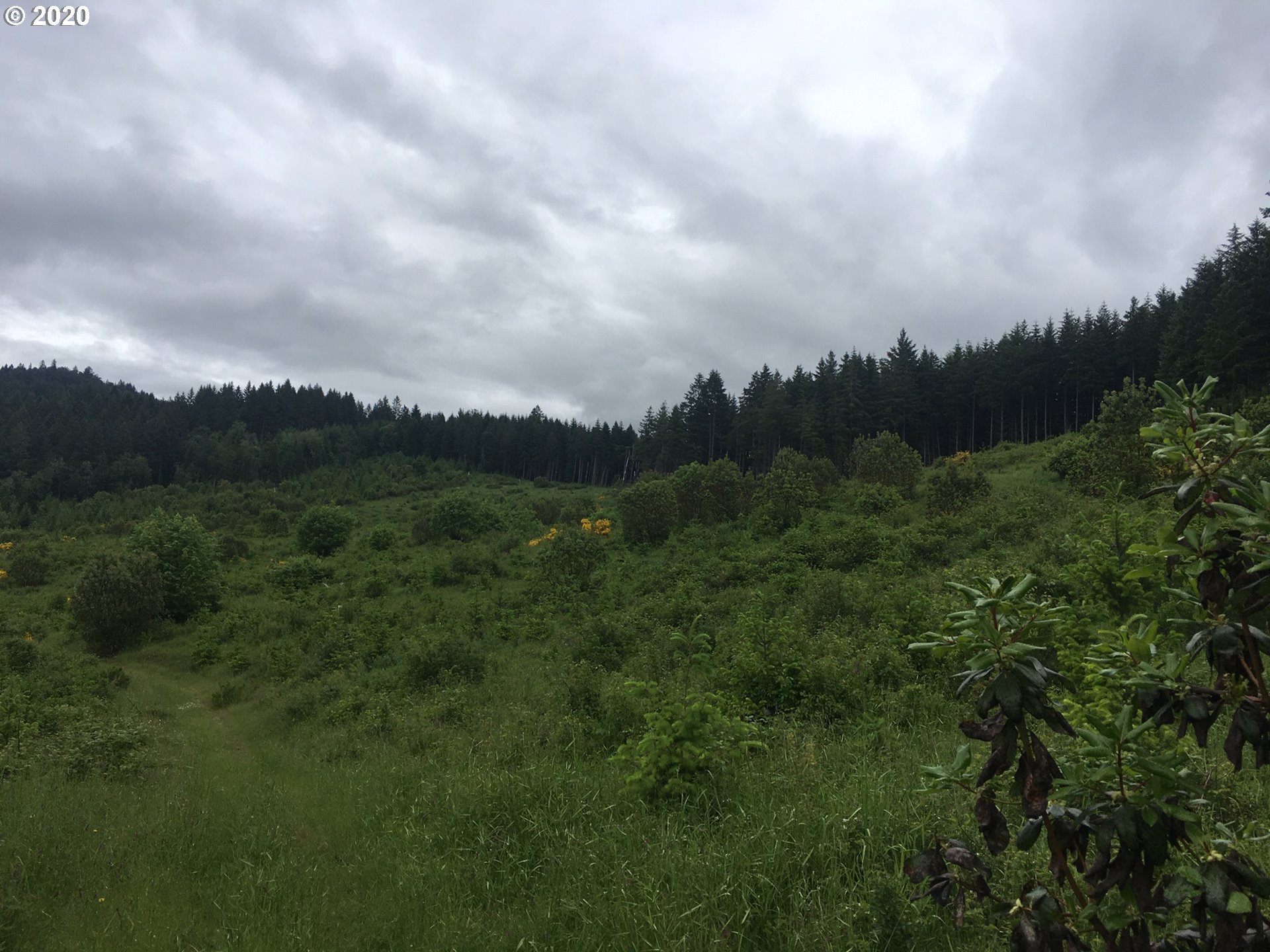 25191 Ferguson Road Junction City, OR 97448 - Photo 1 of 3 Gallery Image 1