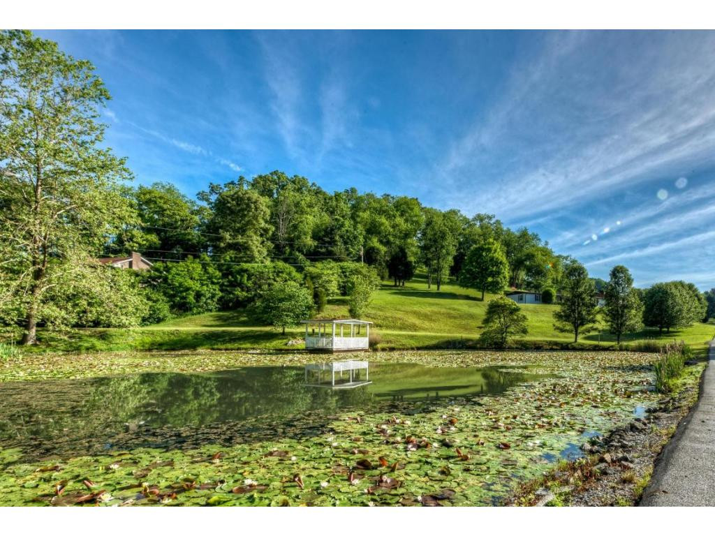 260 Walnut Hill Road Bristol, TN 37620 - Photo 1 of 24 Photo 1