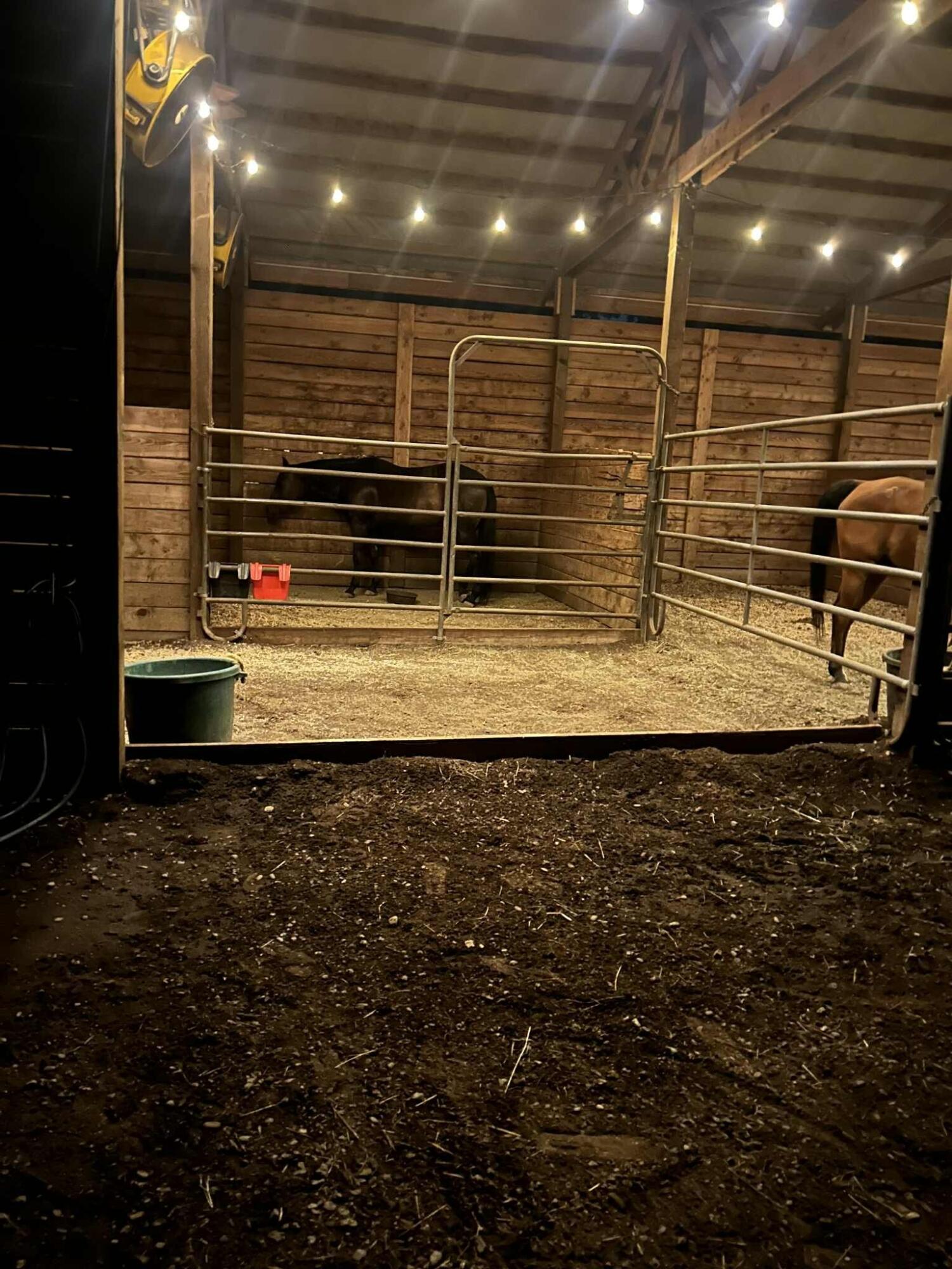 8596 Silver Bridge Road Palo Cedro, CA 96073 - Photo 60 of 80 1119