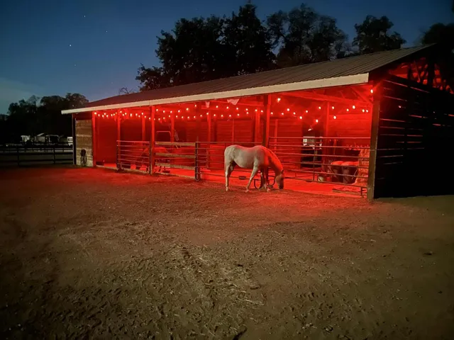 $650,000 | 8596 Silver Bridge Road, Palo Cedro, CA 96073