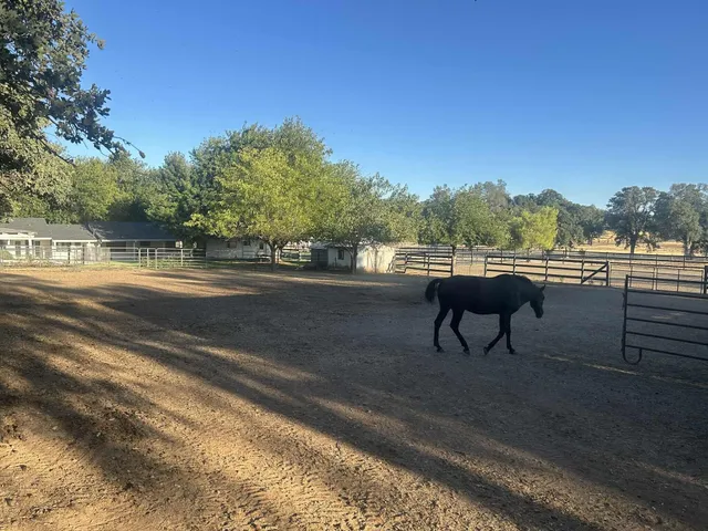 $650,000 | 8596 Silver Bridge Road, Palo Cedro, CA 96073