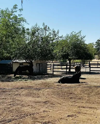 $650,000 | 8596 Silver Bridge Road, Palo Cedro, CA 96073