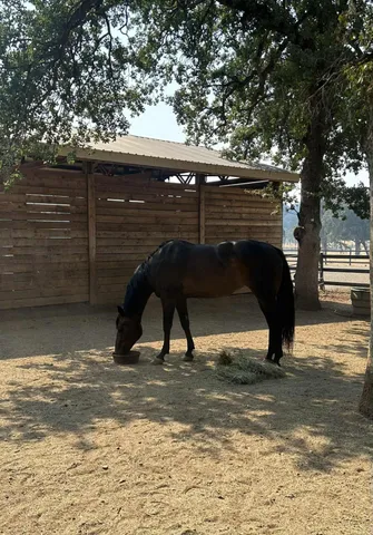 $650,000 | 8596 Silver Bridge Road, Palo Cedro, CA 96073