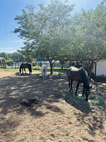 $650,000 | 8596 Silver Bridge Road, Palo Cedro, CA 96073