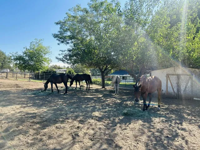 $650,000 | 8596 Silver Bridge Road, Palo Cedro, CA 96073