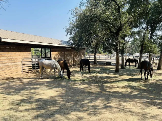 $650,000 | 8596 Silver Bridge Road, Palo Cedro, CA 96073