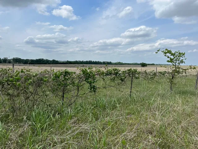a view of swimming pool with a lake view