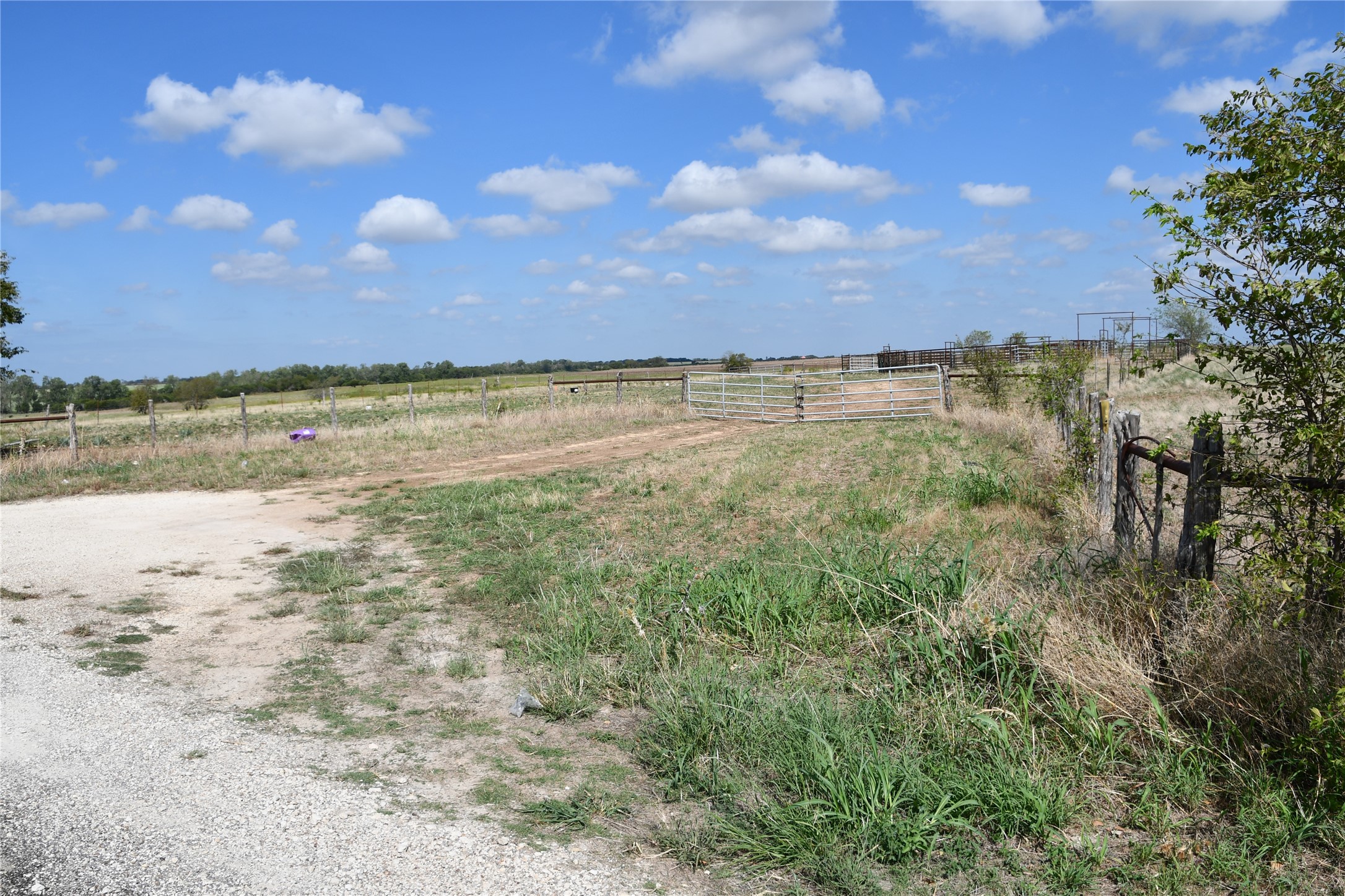 0 County Road 269 Road Oglesby, TX 76561 - Photo 36 of 42