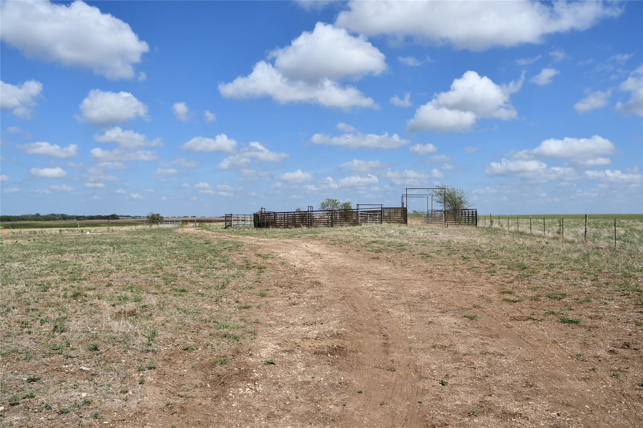 0 County Road 269 Road Oglesby, TX 76561 - Photo 40 of 42