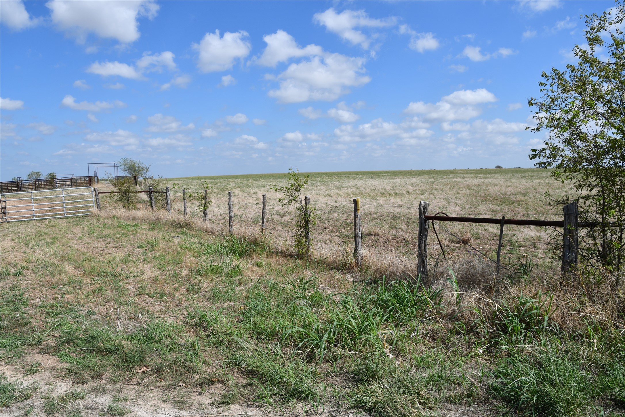 0 County Road 269 Road Oglesby, TX 76561 - Photo 4 of 42