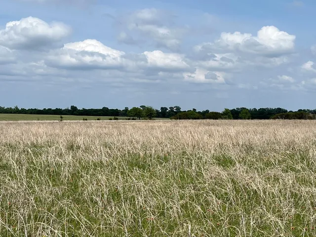 a view of a field