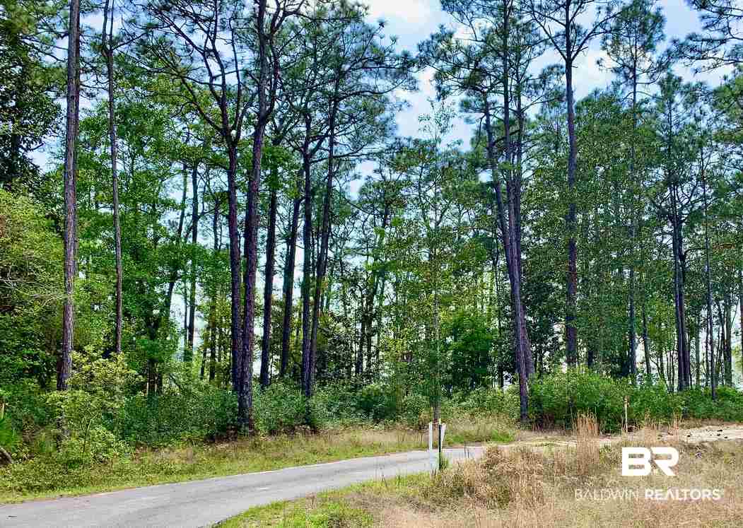 Yucatan Drive Elberta, AL 36530 - Photo 2 of 15 Yucatan Drive