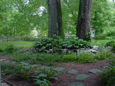 125 Buck Run Road Versailles, KY 40383 - Photo 17 of 22 Mature landscaping in back yard - northe