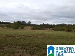 0 County Road 16, Unit 1 Clanton, AL 35045 - Photo 1 of 1