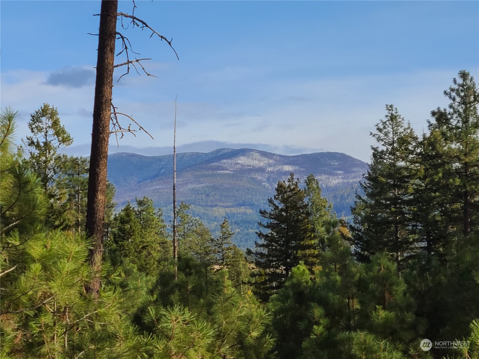 -tbd Rustlers Hideaway Road Tonasket, WA 98855 - Photo 1 of 9 Gallery Image 1