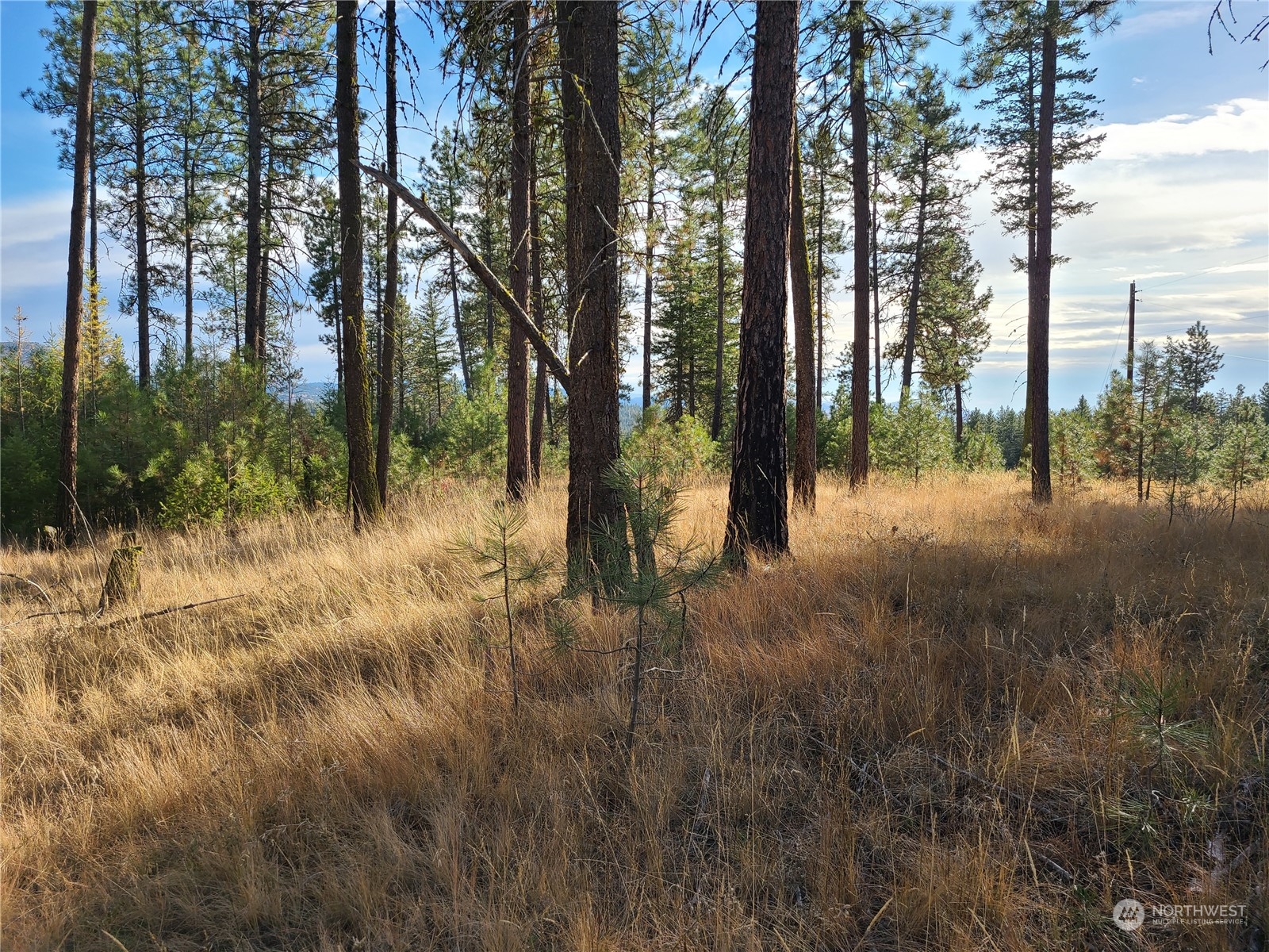 -tbd Rustlers Hideaway Road Tonasket, WA 98855 - Photo 4 of 9 Gallery Image 4
