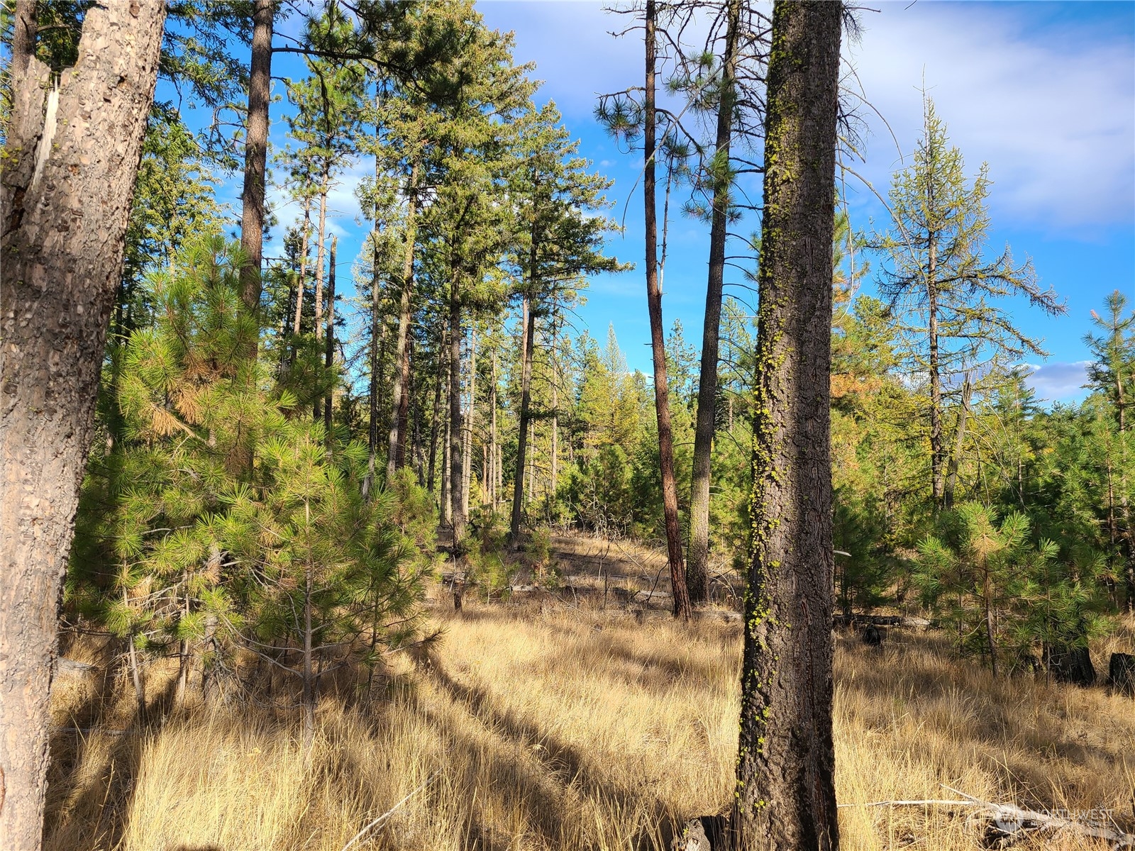 -tbd Rustlers Hideaway Road Tonasket, WA 98855 - Photo 5 of 9 Gallery Image 5