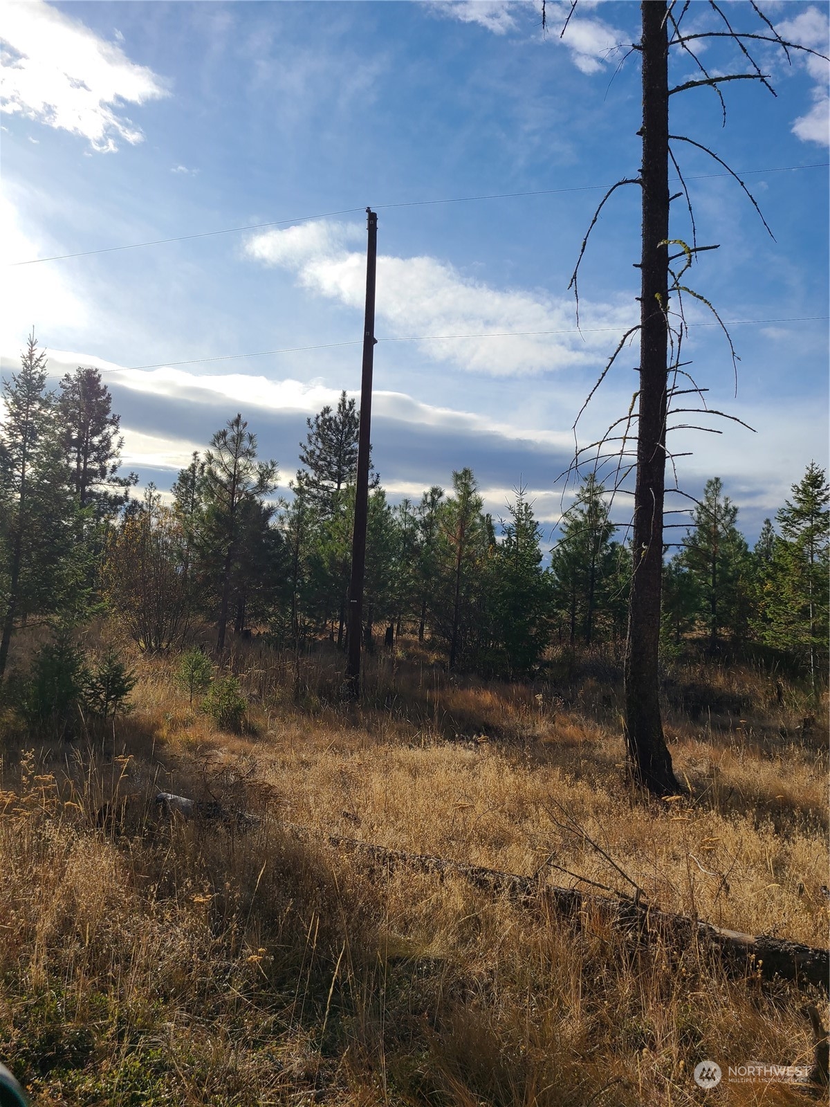 -tbd Rustlers Hideaway Road Tonasket, WA 98855 - Photo 7 of 9 Gallery Image 7