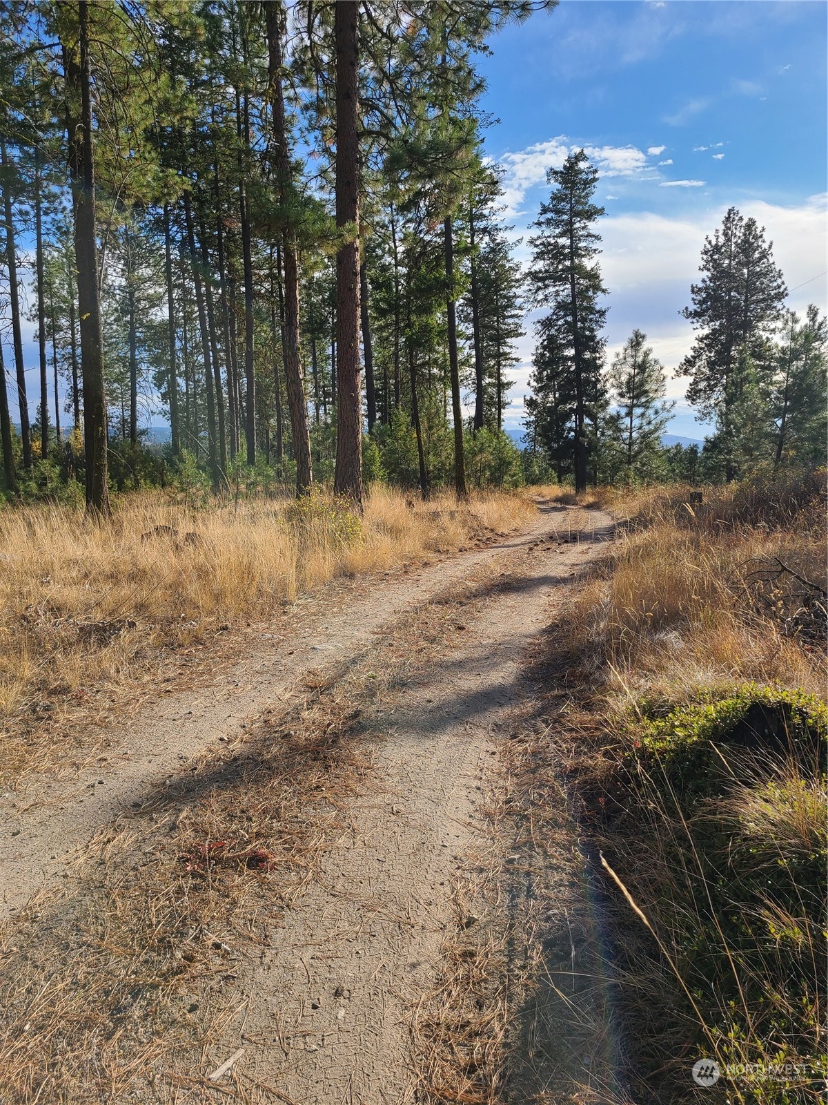-tbd Rustlers Hideaway Road Tonasket, WA 98855 - Photo 9 of 9 Gallery Image 9