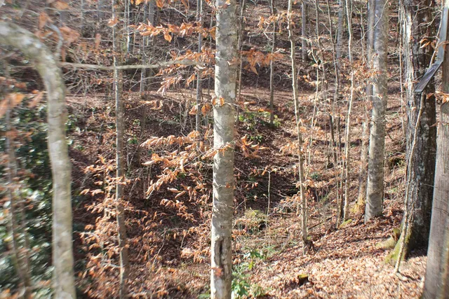 $370,000 | Tract B Tract B Highland Cove, Hayesville, NC 28904