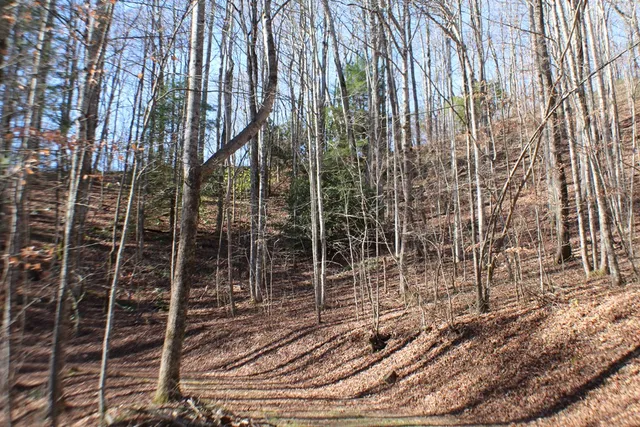 $370,000 | Tract B Tract B Highland Cove, Hayesville, NC 28904