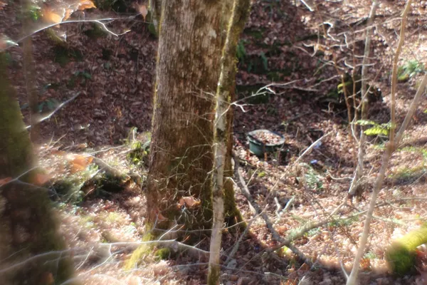 $370,000 | Tract B Tract B Highland Cove, Hayesville, NC 28904
