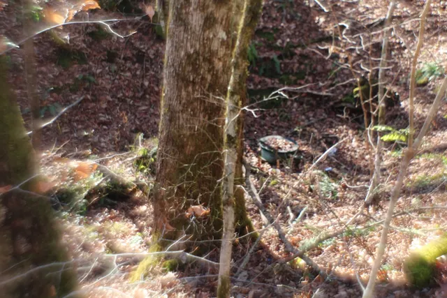 $370,000 | Tract B Tract B Highland Cove, Hayesville, NC 28904