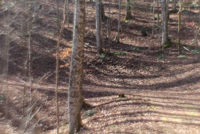 $370,000 | Tract B Tract B Highland Cove, Hayesville, NC 28904