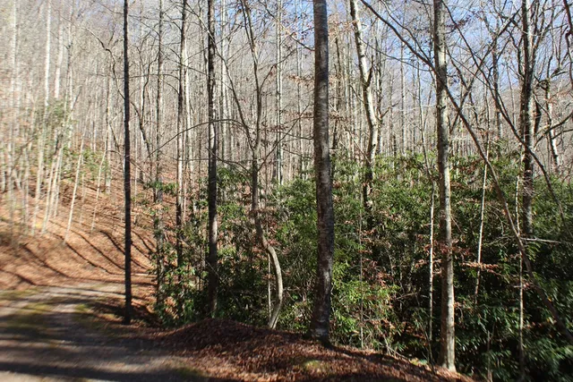 $370,000 | Tract B Tract B Highland Cove, Hayesville, NC 28904