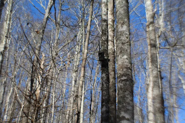 $370,000 | Tract B Tract B Highland Cove, Hayesville, NC 28904