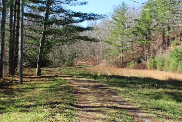 $370,000 | Tract B Tract B Highland Cove, Hayesville, NC 28904