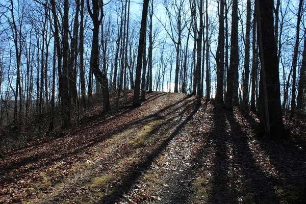 $370,000 | Tract B Tract B Highland Cove, Hayesville, NC 28904